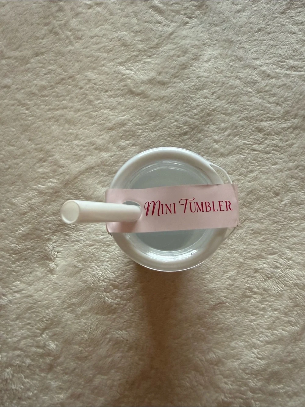 Mini Tumbler/container